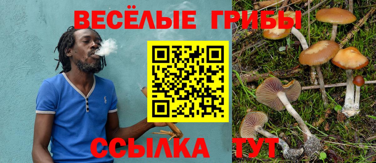 Псилоцибиновые грибы Magic Shrooms  Вход с VPN  Нижний Новгород 